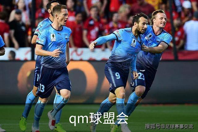 qm球盟会公司简介图片